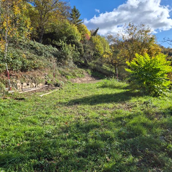 20251030_112933 - Synagogenstandort-k.jpg