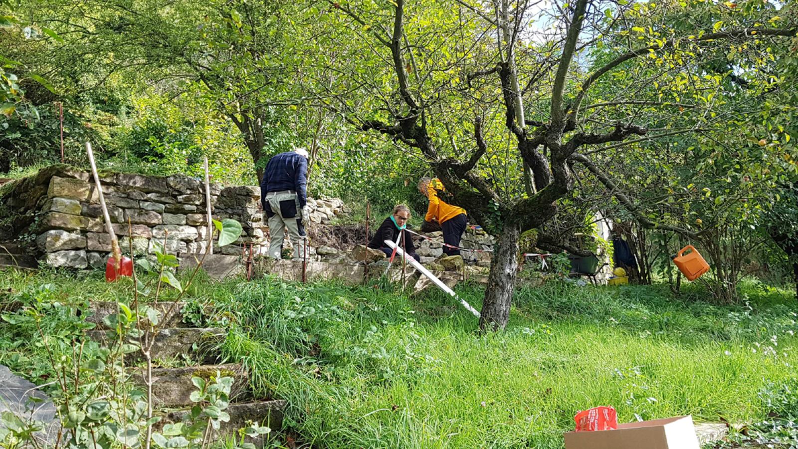 Bild 3 - Trockenmauerkurs